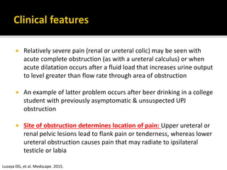  Relatively severe pain (renal or ureteral colic) may be seen with
acute complete obstruction (as with a ureteral calculus) or when
acute dilatation occurs after a fluid load that increases urine output
to level greater than flow rate through area of obstruction
 An example of latter problem occurs after beer drinking in a college
student with previously asymptomatic & unsuspected UPJ
obstruction
 Site of obstruction determines location of pain: Upper ureteral or
renal pelvic lesions lead to flank pain or tenderness, whereas lower
ureteral obstruction causes pain that may radiate to ipsilateral
testicle or labia
Lusaya DG, et al. Medscape. 2015.
 