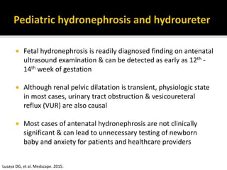  Fetal hydronephrosis is readily diagnosed finding on antenatal
ultrasound examination & can be detected as early as 12th -
14th week of gestation
 Although renal pelvic dilatation is transient, physiologic state
in most cases, urinary tract obstruction & vesicoureteral
reflux (VUR) are also causal
 Most cases of antenatal hydronephrosis are not clinically
significant & can lead to unnecessary testing of newborn
baby and anxiety for patients and healthcare providers
Lusaya DG, et al. Medscape. 2015.
 