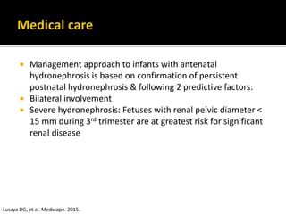  Management approach to infants with antenatal
hydronephrosis is based on confirmation of persistent
postnatal hydronephrosis & following 2 predictive factors:
 Bilateral involvement
 Severe hydronephrosis: Fetuses with renal pelvic diameter <
15 mm during 3rd trimester are at greatest risk for significant
renal disease
Lusaya DG, et al. Medscape. 2015.
 
