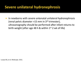  In newborns with severe antenatal unilateral hydronephrosis
(renal pelvic diameter >15 mm in 3rd trimester),
ultrasonography should be performed after infant returns to
birth weight (after age 48 h & within 1st 2 wk of life)
Lusaya DG, et al. Medscape. 2015.
 