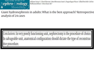Hydronephrosis.pptxbbbbbbbbbbbbbbbbbbbbbbtb