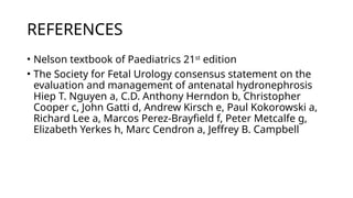 HYDRONEPHROSIS.pptx description of antenatal scans | PPTX