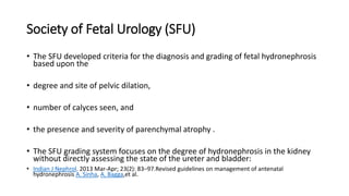 Society of Fetal Urology (SFU)
• The SFU developed criteria for the diagnosis and grading of fetal hydronephrosis
based upon the
• degree and site of pelvic dilation,
• number of calyces seen, and
• the presence and severity of parenchymal atrophy .
• The SFU grading system focuses on the degree of hydronephrosis in the kidney
without directly assessing the state of the ureter and bladder:
• Indian J Nephrol. 2013 Mar-Apr; 23(2): 83–97.Revised guidelines on management of antenatal
hydronephrosis A. Sinha, A. Bagga,et al.
 