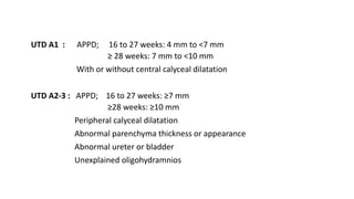 UTD A1 : APPD; 16 to 27 weeks: 4 mm to <7 mm
≥ 28 weeks: 7 mm to <10 mm
With or without central calyceal dilatation
UTD A2-3 : APPD; 16 to 27 weeks: ≥7 mm
≥28 weeks: ≥10 mm
Peripheral calyceal dilatation
Abnormal parenchyma thickness or appearance
Abnormal ureter or bladder
Unexplained oligohydramnios
 