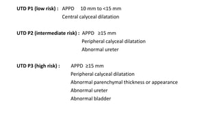 UTD P1 (low risk) : APPD 10 mm to <15 mm
Central calyceal dilatation
UTD P2 (intermediate risk) : APPD ≥15 mm
Peripheral calyceal dilatation
Abnormal ureter
UTD P3 (high risk) : APPD ≥15 mm
Peripheral calyceal dilatation
Abnormal parenchymal thickness or appearance
Abnormal ureter
Abnormal bladder
 