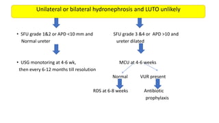 •
• SFU grade 1&2 or APD <10 mm and SFU grade 3 &4 or APD >10 and
Normal ureter ureter dilated
• USG monotoring at 4-6 wk, MCU at 4-6 weeks
then every 6-12 months till resolution
Normal VUR present
RDS at 6-8 weeks Antibiotic
prophylaxis
Unilateral or bilateral hydronephrosis and LUTO unlikely
 