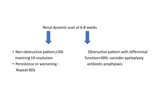 Renal dynamic scan at 6-8 weeks
• Non obstructive pattern;USG Obstructive pattern with differential
moniring till resolution function<40%: consider pyeloplasty
• Persistence or worsening : antibiotic prophylaxis
Repeat RDS
 