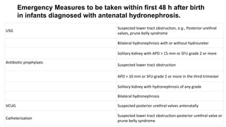 Emergency Measures to be taken within first 48 h after birth
in infants diagnosed with antenatal hydronephrosis.
USG
Suspected lower tract obstruction, e.g., Posterior urethral
valves, prune belly syndrome
Bilateral hydronephrosis with or without hydroureter
Solitary kidney with APD > 15 mm or SFU grade 2 or more
Antibiotic prophylaxis
Suspected lower tract obstruction
APD > 10 mm or SFU grade 2 or more in the third trimester
Solitary kidney with hydronephrosis of any grade
Bilateral hydronephrosis
VCUG Suspected posterior urethral valves antenatally
Catheterization
Suspected lower tract obstruction-posterior urethral valve or
prune belly syndrome
 