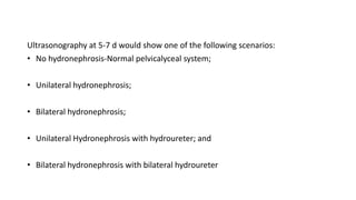 Ultrasonography at 5-7 d would show one of the following scenarios:
• No hydronephrosis-Normal pelvicalyceal system;
• Unilateral hydronephrosis;
• Bilateral hydronephrosis;
• Unilateral Hydronephrosis with hydroureter; and
• Bilateral hydronephrosis with bilateral hydroureter
 