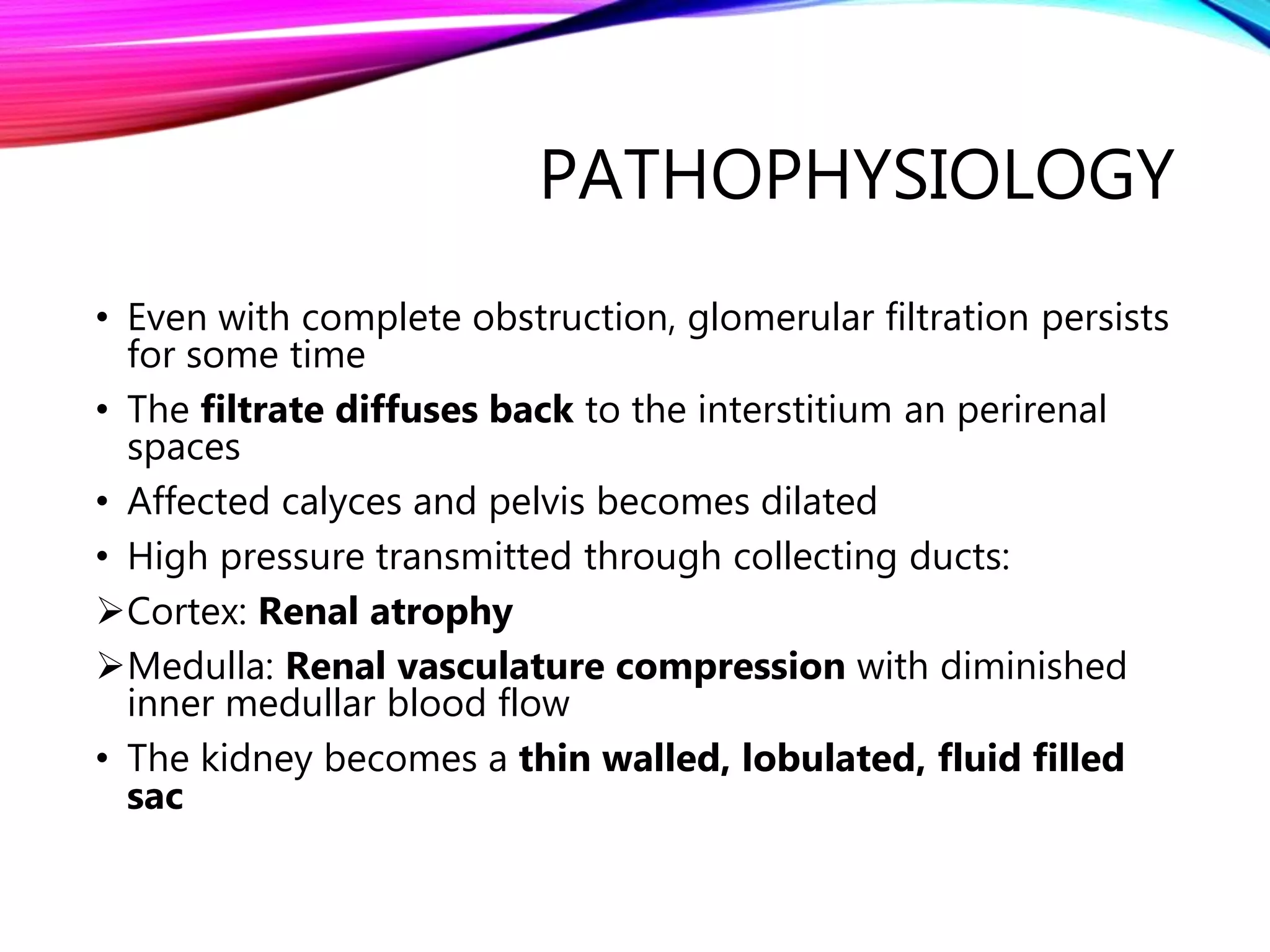 PATHOPHYSIOLOGY
• Even with complete obstruction, glomerular filtration persists
for some time
• The filtrate diffuses back to the interstitium an perirenal
spaces
• Affected calyces and pelvis becomes dilated
• High pressure transmitted through collecting ducts:
Cortex: Renal atrophy
Medulla: Renal vasculature compression with diminished
inner medullar blood flow
• The kidney becomes a thin walled, lobulated, fluid filled
sac
 
