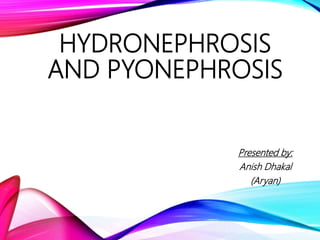 HYDRONEPHROSIS
AND PYONEPHROSIS
Presented by:
Anish Dhakal
(Aryan)
 
