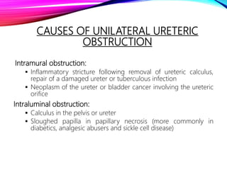CAUSES OF UNILATERAL URETERIC
OBSTRUCTION
Intramural obstruction:
 Inflammatory stricture following removal of ureteric calculus,
repair of a damaged ureter or tuberculous infection
 Neoplasm of the ureter or bladder cancer involving the ureteric
orifice
Intraluminal obstruction:
 Calculus in the pelvis or ureter
 Sloughed papilla in papillary necrosis (more commonly in
diabetics, analgesic abusers and sickle cell disease)
 