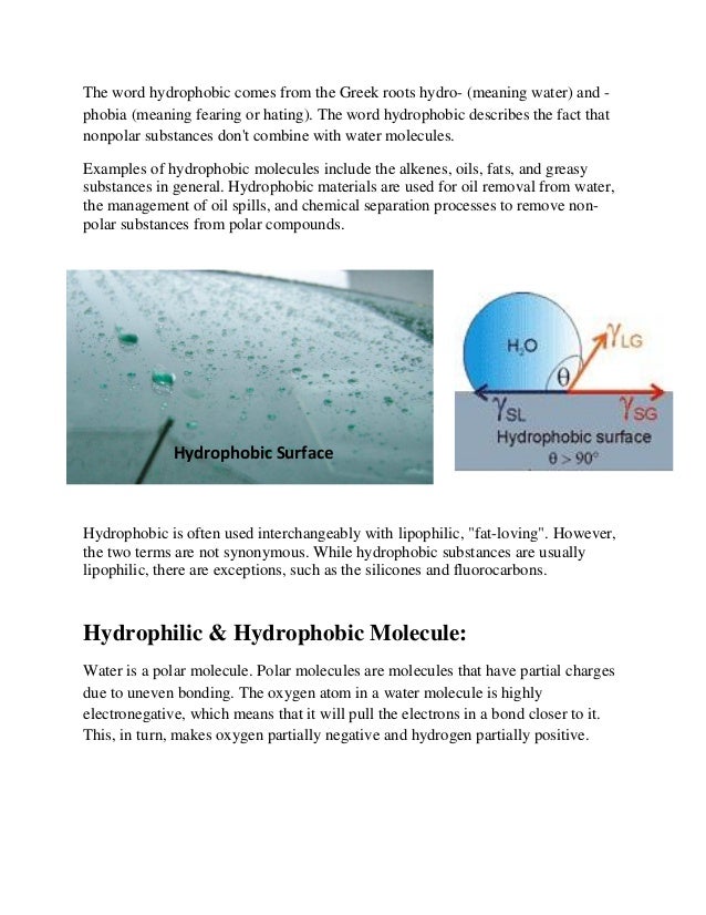 Hydrophilic Hydrophobic Assignment