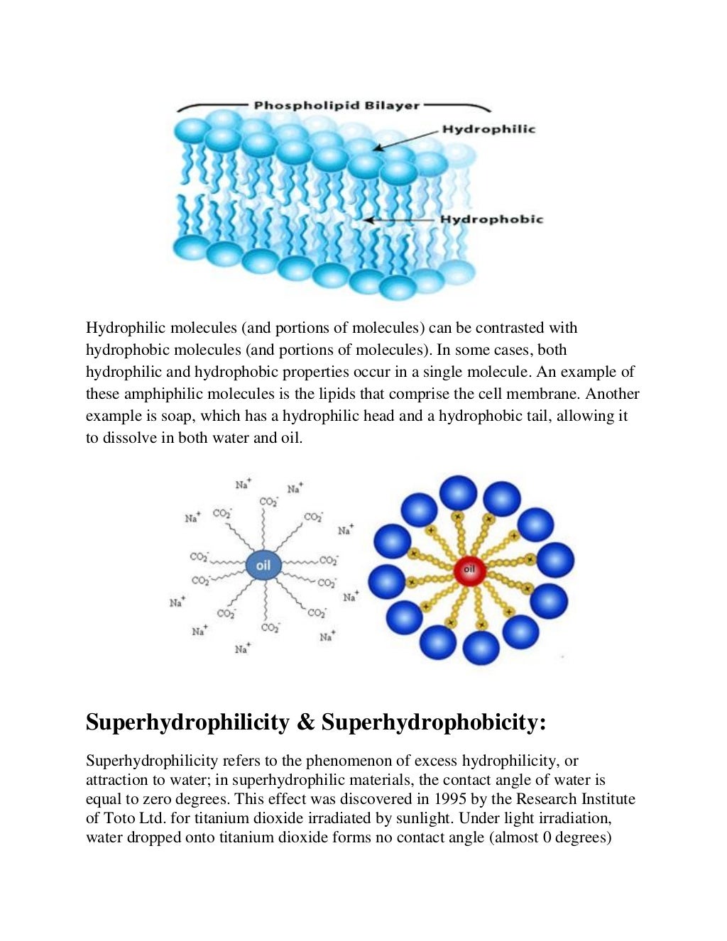 Hydrophilic & hydrophobic assignment