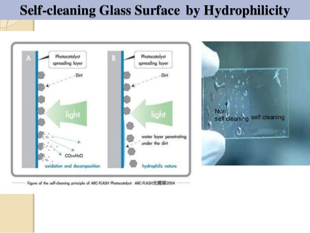 Hydrophilic Amp Hydrophobic Presentation
