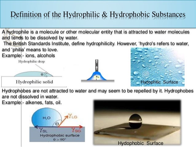 Hydrophilic Amp Hydrophobic Presentation