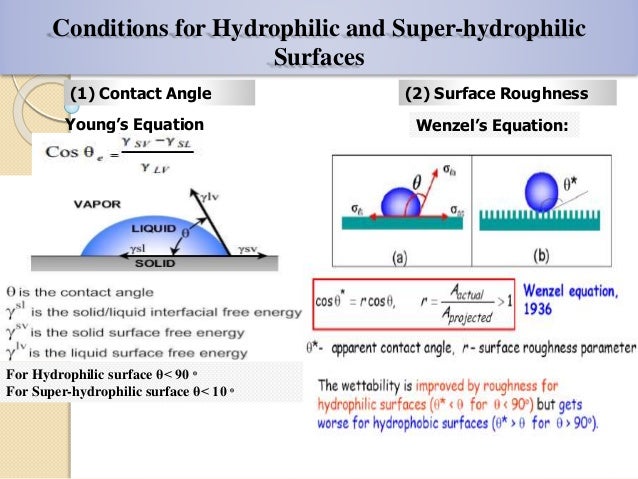 Hydrophilic Amp Hydrophobic Presentation