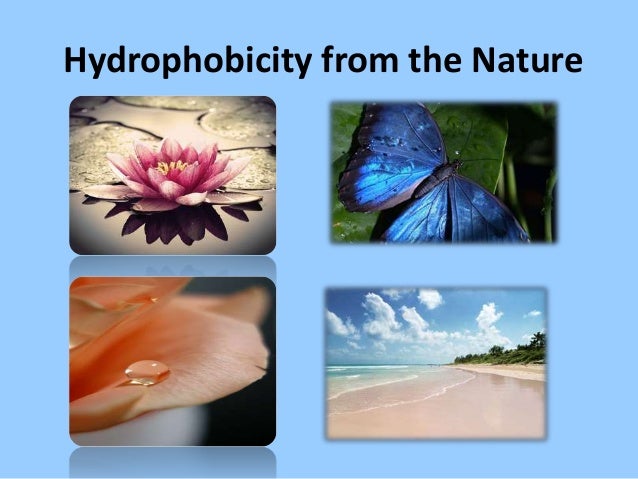 Hydrophobic Expanded Perlite Hydrophobic Expanded Perlite