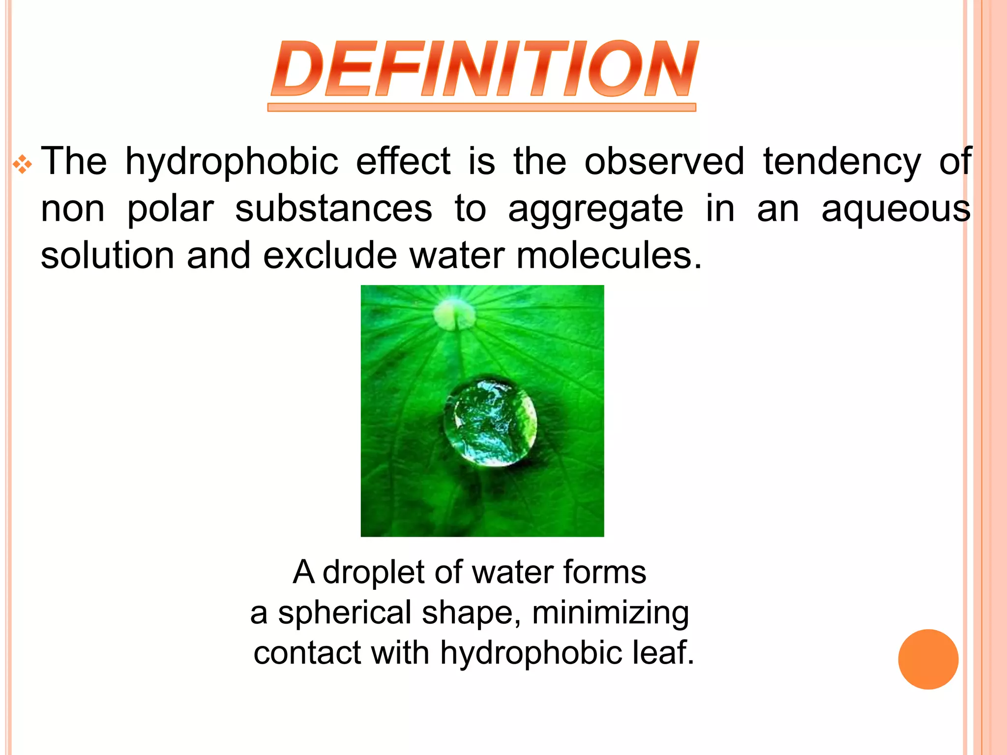  The hydrophobic effect is the observed tendency of
non polar substances to aggregate in an aqueous
solution and exclude water molecules.
A droplet of water forms
a spherical shape, minimizing
contact with hydrophobic leaf.
 