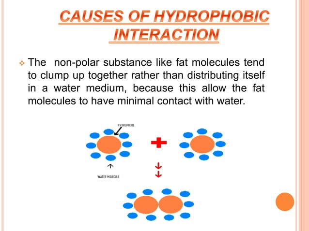 Hydrophobic interaction | PPTX | Chemistry | Science