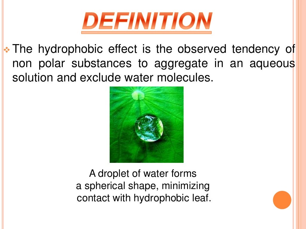 Hydrophobic interaction