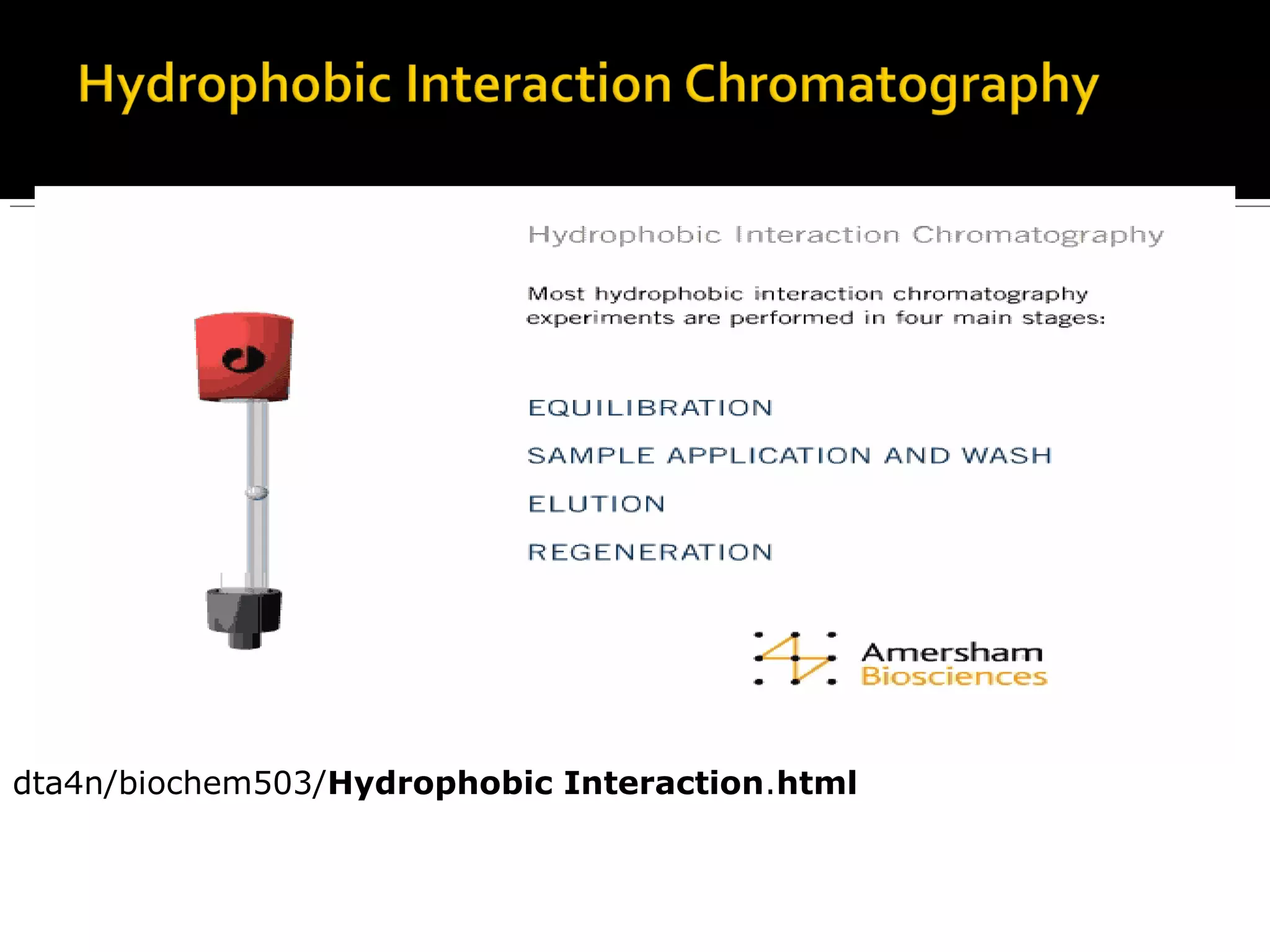 dta4n/biochem503/Hydrophobic Interaction.html
 