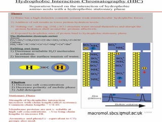 Hydrophobic interaction chromatography (1) | PPT