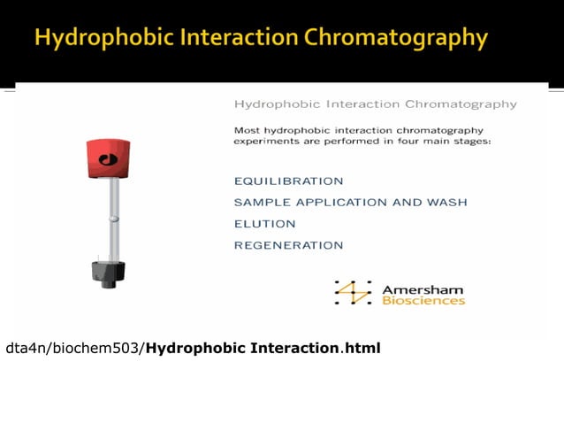 Hydrophobic interaction chromatography (1) | PPT | Chemistry | Science