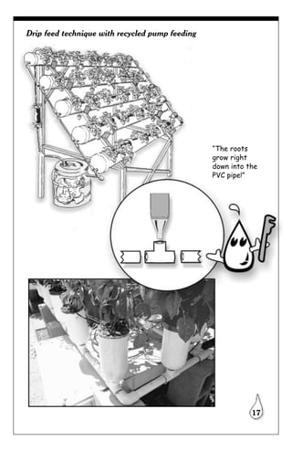 Drip feed technique with recycled pump feeding




                                                 “The roots
                                                 grow right
                                                 down into the
                                                 PVC pipe!”




                                                            17
 