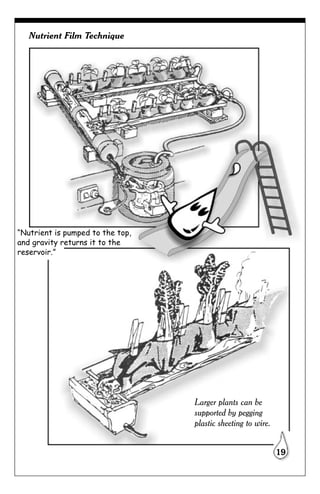 Nutrient Film Technique




“Nutrient is pumped to the top,
and gravity returns it to the
reservoir.”




                                  Larger plants can be
                                  supported by pegging
                                  plastic sheeting to wire.


                                                              19
 