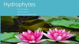 Hydrophytes
Dr. Asmita Daspute.
Assistant Professor,
SBES College Aurangabad. India
 