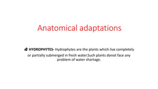 Anatomical adaptations
🌿 HYDROPHYTES- Hydrophytes are the plants which live completely
or partially submerged in fresh water.Such plants donot face any
problem of water shortage.
 