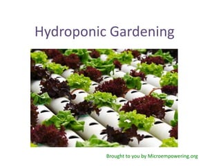 Hydroponic Gardening




          Brought to you by Microempowering.org
 