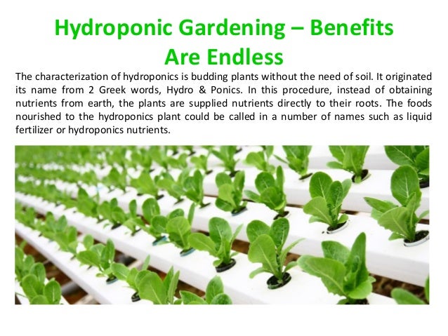 Hydroponic Gardening – Benefits Are Endless