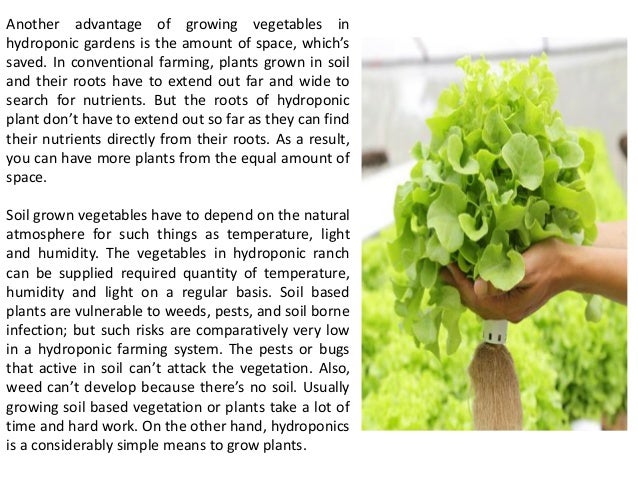 Advantages Of Producing Crops Through Use Of Hydroponics