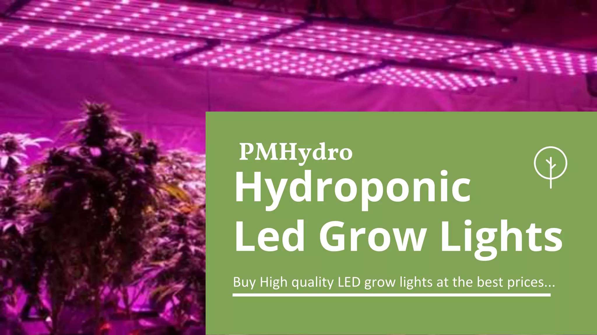 Hydroponic led grow lights PMHydro PPT
