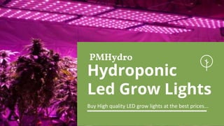 PMHydro
Buy High quality LED grow lights at the best prices...
Hydroponic
Led Grow Lights
 
