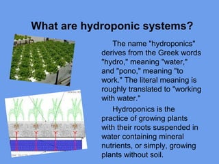 What are hydroponic systems?
The name "hydroponics"
derives from the Greek words
"hydro," meaning "water,"
and "pono," mea...