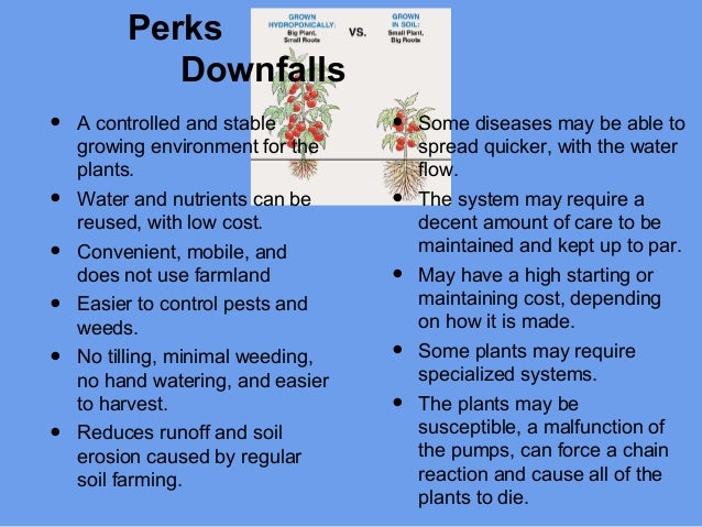 What Is A Hydroponic System Definition From Maximumyield What Is A Hydroponic System Definition From Maximumyield