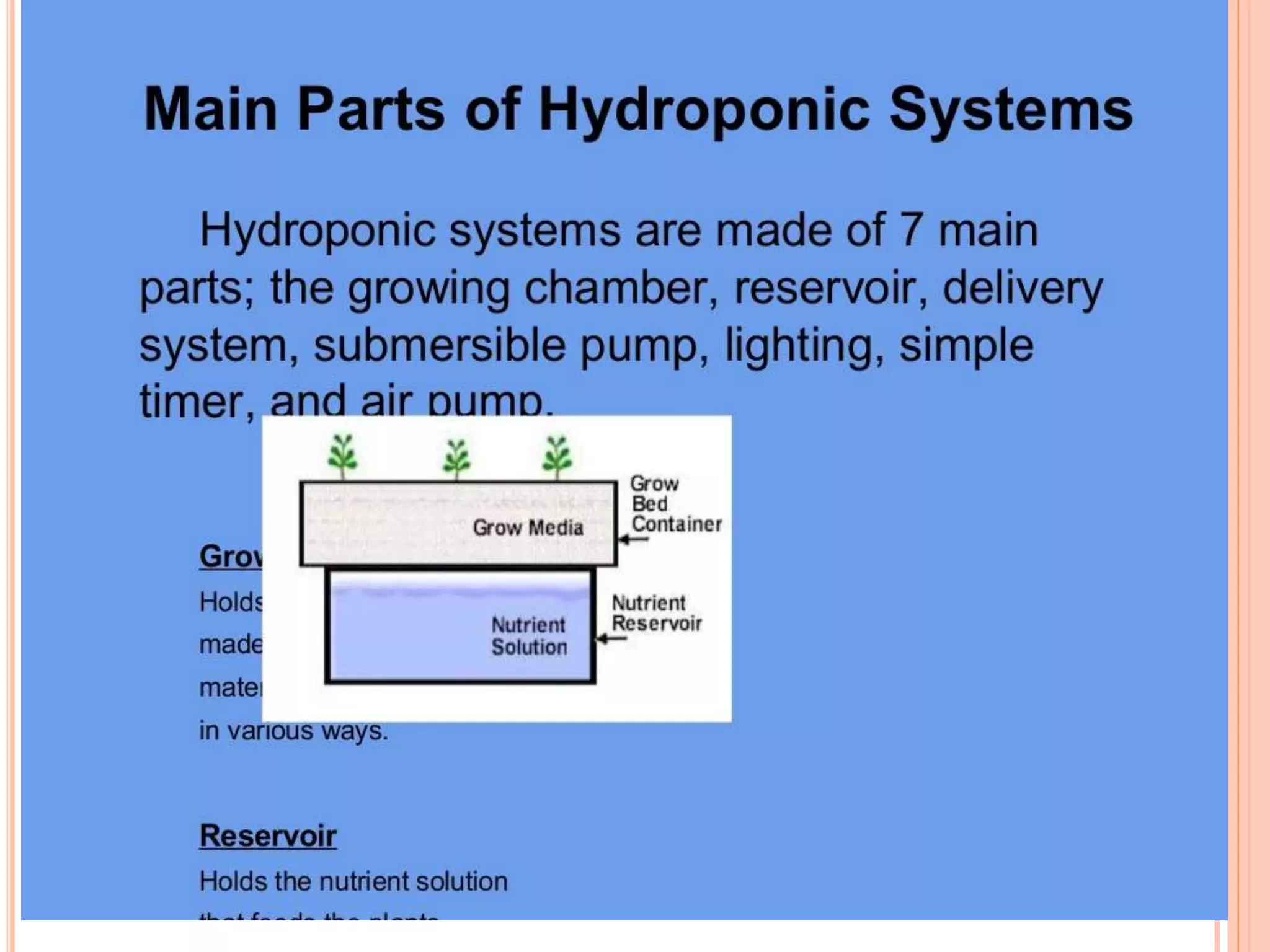 Hydroponics A Lecture By Mr Allah Dad Khan | PPTX | Agriculture ...