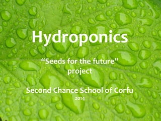 Hydroponics
“Seeds for the future”
project
Second Chance School of Corfu
2014

 