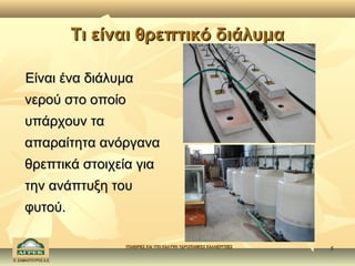 Τι είναι θρεπτικό διάλυμα

      Είναι ένα διάλυμα
     νερού στο οποίο
     υπάρχουν τα
     απαραίτητα ανόργανα
     θρεπτικά στοιχεία για
     την ανάπτυξη του
     φυτού.

                            ΥΠΑΙΘΡΙΕΣ ΚΑΙ ΥΠΟ ΚΑΛΥΨΗ ΥΔΡΟΠΟΝΙΚΕΣ ΚΑΛΛΙΕΡΓΕΙΕΣ
                                                                                5
Κ. ΣΑΜΑΝΤΟΥΡΟΣ Α.Ε.
 