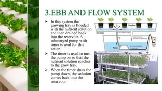 HYDROPONICS AND AEROPONICS.pptx