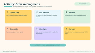 Prepared by CA Suvidha Chaplot H Y D R O P O N I C S • G R O W I N G P L A N T S W I TH O UT S O I L
Activity: Grow microgreens
Young seedlings are easy to grow, quick to harvest and rich in vitamins.
MICROGREENS
1 Choose tray
Use a shallow tray with drainage holes.
2 Add medium
Fill about 5 cm with cocopeat or suitable
medium.
3 Moisten
Spray evenly — damp, not waterlogged.
4 Sow seeds
Spread closely and cover lightly.
5 Give light
Keep humid; provide sunlight or LED after
germination.
6 Harvest
Cut after true leaves appear, usually 10–15
days.
SPROUTS: 2–5 DAYS • MICROGREENS: 10–15 DAYS
14
 