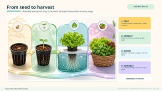 Prepared by CA Suvidha Chaplot H Y D R O P O N I C S • G R O W I N G P L A N T S W I TH O UT S O I L
From seed to harvest
A healthy hydroponic crop is the result of careful observation at every stage.
GROWTH STORY
1. SEED
Choose healthy seeds and a clean
medium.
2. SPROUT
Keep moist and provide gentle
light.
3. GROW
Balance nutrients, oxygen, pH and
light.
4. HARVEST
Cut cleanly, weigh and record the
yield.
OBSERVE EVERY DAY
15
 