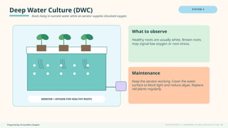 Prepared by CA Suvidha Chaplot H Y D R O P O N I C S • G R O W I N G P L A N T S W I TH O UT S O I L
Deep Water Culture (DWC)
Roots hang in nutrient water while an aerator supplies dissolved oxygen.
SYSTEM 2
AERATOR = OXYGEN FOR HEALTHY ROOTS
What to observe
Healthy roots are usually white. Brown roots
may signal low oxygen or root stress.
Maintenance
Keep the aerator working. Cover the water
surface to block light and reduce algae. Replace
old plants regularly.
17
 