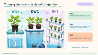 Prepared by CA Suvidha Chaplot H Y D R O P O N I C S • G R O W I N G P L A N T S W I TH O UT S O I L
Three systems — one visual comparison
These illustrations help you understand how the water moves in Wick, DWC and NFT.
VISUAL SYSTEMS
Wick
Best for beginners. A cotton wick pulls
water upward slowly from the reservoir.
DWC
Roots hang in nutrient-rich water while
an aerator adds oxygen bubbles.
NFT
A thin moving film of water flows
through pipes and keeps the roots moist.
LOOK AT ROOTS + WATER FLOW
20
 