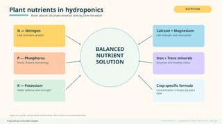 Prepared by CA Suvidha Chaplot H Y D R O P O N I C S • G R O W I N G P L A N T S W I TH O UT S O I L
Plant nutrients in hydroponics
Roots absorb dissolved minerals directly from the water.
NUTRITION
BALANCED
NUTRIENT
SOLUTION
N — Nitrogen
Leaf and stem growth
P — Phosphorus
Roots, flowers and energy
K — Potassium
Water balance and strength
Calcium + Magnesium
Cell strength and chlorophyll
Iron + Trace minerals
Enzymes and healthy colour
Crop-specific formula
Concentration changes by plant
type
Always use a suitable, correctly diluted nutrient solution. “More” fertiliser is not automatically better.
21
 