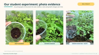 Prepared by CA Suvidha Chaplot H Y D R O P O N I C S • G R O W I N G P L A N T S W I TH O UT S O I L
Our student experiment: photo evidence
Use photographs to document the seed, medium, roots and growth changes over time.
REAL PROJECT
SEED PLACEMENT GROWING MEDIUM OBSERVE MOISTURE + ROOTS
Student photographs supplied in the uploaded ZIP file.
29
 