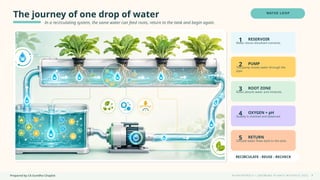 Prepared by CA Suvidha Chaplot H Y D R O P O N I C S • G R O W I N G P L A N T S W I TH O UT S O I L
The journey of one drop of water
In a recirculating system, the same water can feed roots, return to the tank and begin again.
WATER LOOP
1 RESERVOIR
Water stores dissolved nutrients.
2 PUMP
The pump moves water through the
pipe.
3 ROOT ZONE
Roots absorb water and minerals.
4 OXYGEN + pH
Quality is checked and balanced.
5 RETURN
Unused water flows back to the tank.
RECIRCULATE - REUSE - RECHECK
7
 